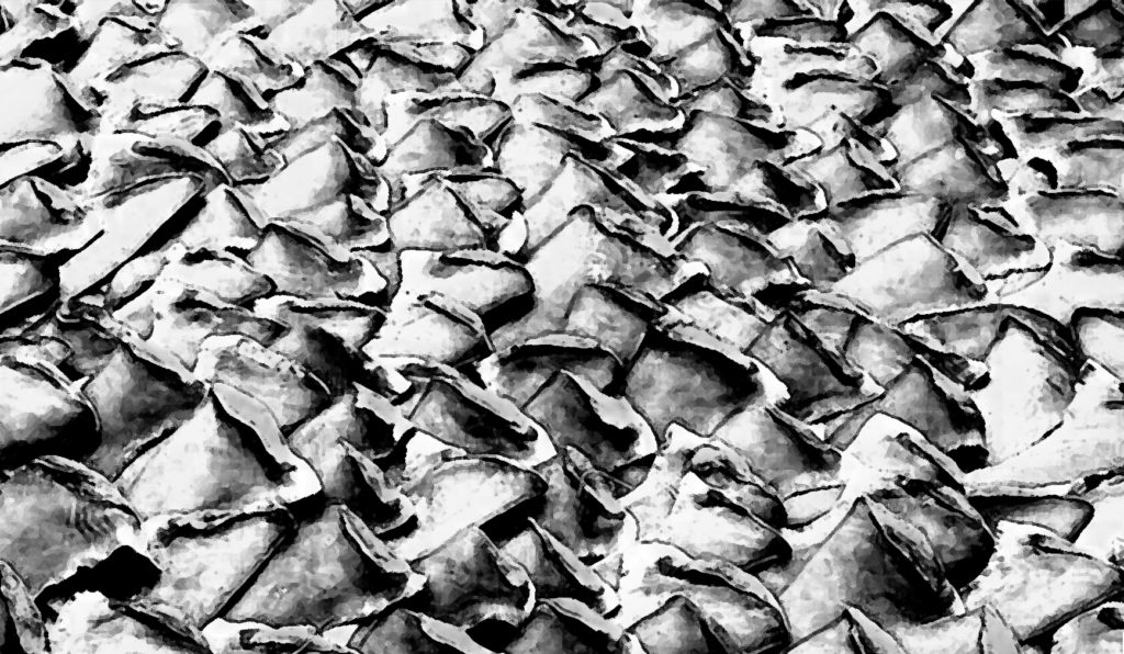 requins_visuel_paysage