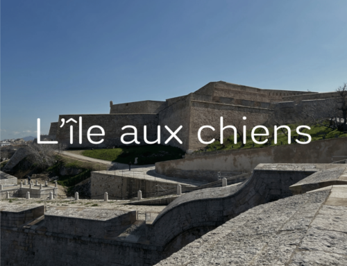 Citadelle, Marseille